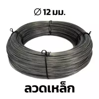 ลวดเหล็ก BSI 12 มม.