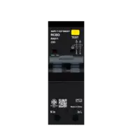 เบรกเกอร์กันดูด 63 แอมป์ RCBO SAFE T CUT 2 Pole 30mA 10kA รุ่น RAS11 (TYPE AC) สีดำ