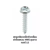 HWS Tapping Screws # 12