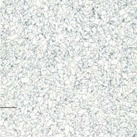 กระเบื้องยางไวนิลปูพื้น รุ่น TECHNIC EL5 200