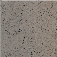 กระเบื้องปูพื้น 60x60 ซม. (24x24 นิ้ว) หินควอทซ์ CQ4020