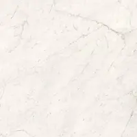 COTTO Floor Tile GP 60x120 cm SILK CARRARA POL R/T PM
