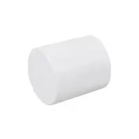 THAI PIPE 1" WH PVC Cap