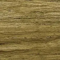 CAMPANA Floor Tile GP 15x60 cm LOGWOOD R 1.0 MATT R/T PM