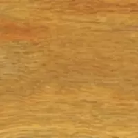 พื้นไม้ลามิเนต อินโนวา MF 550 NSW Spotted Gum ยกเลิกผลิต