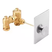 KOHLER K-77682X-G Flush Valve