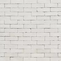 หินสังเคราะห์ ผนังหินเทียม WHITE 538-114