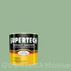 TOA Supertech High Gloss Enamel L360 Spring Green 1/4GL