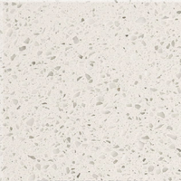 Quartz Stone CQ7005 60x60 cm