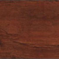 กระเบื้องยางไวนิลปูพื้น รุ่น Dynoflex Wood Series 2 DYNOFLEX WE 1081