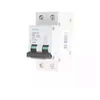 Main consumer 50A