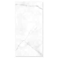 Floor Tile 80X160CM ARIZO WHITE 2.56M2