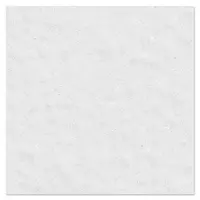 กระเบื้องปูพื้น ภายนอก 40x40 ซม. มาร์ซาล่า สโตน ขาว 0.96