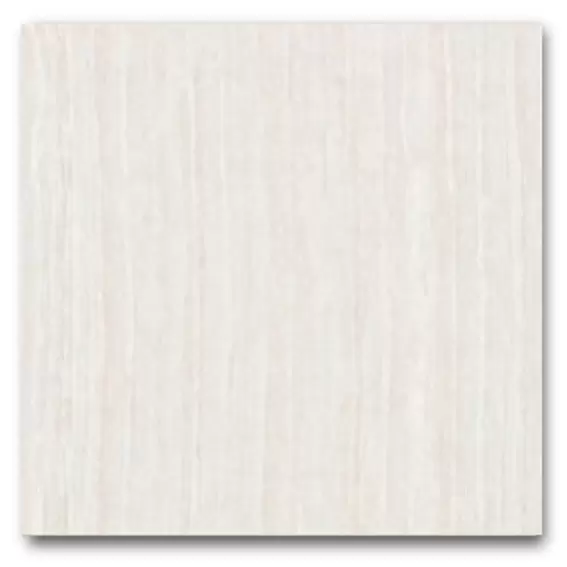 กระเบื้องปูพื้น 60x60 ซม. (24x24 นิ้ว) แกรนิตโต้ พอร์ซเลน RAYAS NANO BONE -1
