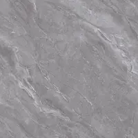 COTTO Floor Tile FT 40x40 cm CLAYMIST GREY PM