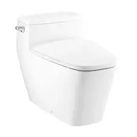 One Piece Toilet COTTO C631607 4.8 L