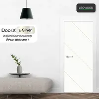 DoorX Silver
