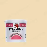 #X-602 Dulux Maxilite Exterior Joy Yellow X-602