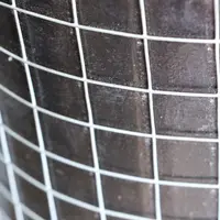 Stainless Steel Square Welded Wire Mesh 3/4 in
