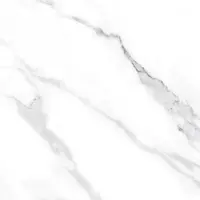 CAMPANA Floor Tile 40x40 cm ICE AGE R SATIN A