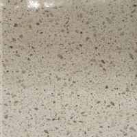 กระเบื้องปูพื้น 60x60 ซม. (24x24 นิ้ว) หินควอทซ์ CQ4010