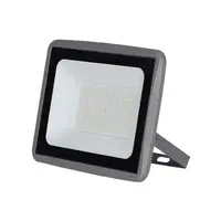 สปอร์ตไลท์ภายนอก LED LAMPTAN FIRM 100 วัตต์ WARM WHITE