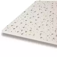 SCG Gypsum Tbar Texture Touch Balloonfish 60x60 cm thickness 9 mm