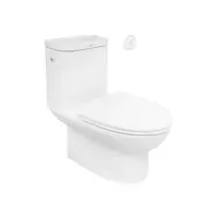 One Piece Toilet American Standard 0 4.8 L