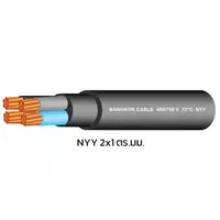 สายไฟ NYY 2x1 ตร.มม. BCC