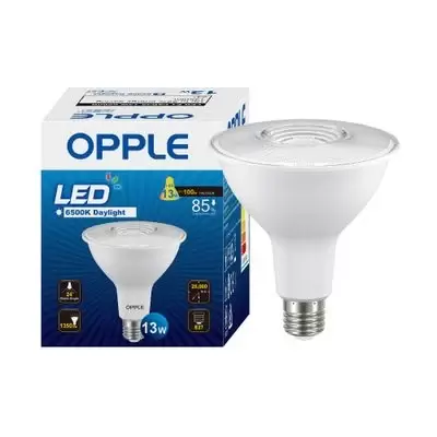 PAR38 LED 13W Daylight bulb, model E1PAR38E2713W38DDLCT-1