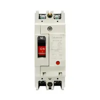 Auto breaker 2P50A 7.5KA 1 phase TAK