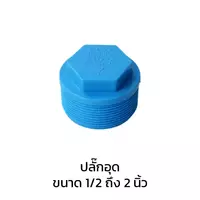 ปลั๊กอุด PVC 1 1/2 นิ้ว