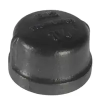 301 Caps