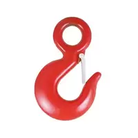 Hook 3T MGH