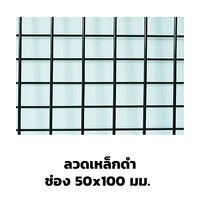 ตะแกรงอาร์ค ลวดเหล็กดำ 50x100 มม.