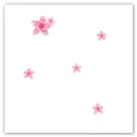 แผ่นฝ้าทีบาร์ 60x60 ซม. หนา 8 มม. เอสซีจี เปเปอร์ทัช ชวนชม (Baby Blossom)