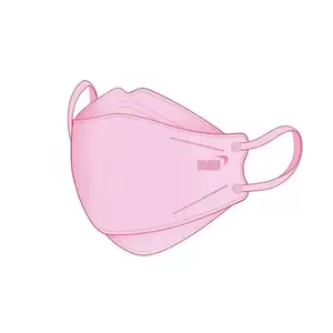 MASK 3D 4230 PM2.5 MASK 3D 10EA-1