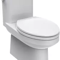One Piece Toilet American TF-2045SCP-WT-0 4.8 L