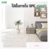 Shera SPC Flooring Modern 1 Ivory