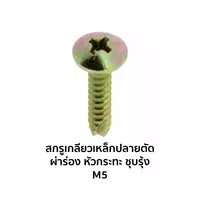 สกรูเกลียวเหล็กปลายตัดผ่าร่องชุบรุ้ง หัวกะทะ JT+ M5