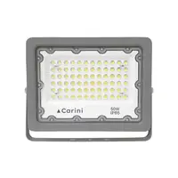 Outdoor spotlight LED CARINI NYSP50W 50 watt DAYLIGHT (1232776)