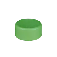 PPR Cap Lesso 3 inch (90 mm)