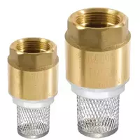 Spring Foot Valve SANWA 1 Inch