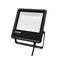 Outdoor spotlight LED ECOLINK FL007 50 watts WARM WHITE (1239247)