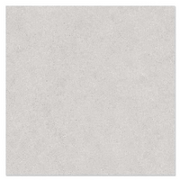กระเบื้องปูพื้น ภายนอก 60x60 ซม. (24x24 นิ้ว) อเล็กซี่ ไลท์เกรย์ A1.44