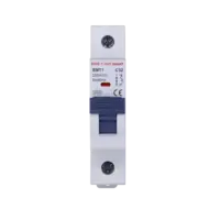 เบรกเกอร์ 32 แอมป์ MCB SAFE T CUT 1 Pole 6KA รุ่น SMT1