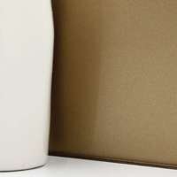 กระจกเคลือบสี Gold Mettalic Kote Glass