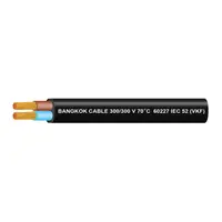 สายไฟ VKF IEC 52 2x0.5 ตร.มม. สีดำ BCC
