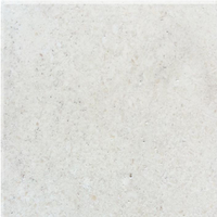 กระเบื้องปูพื้น 60x60 ซม. (24x24 นิ้ว) หินอ่อน ลามสโตน