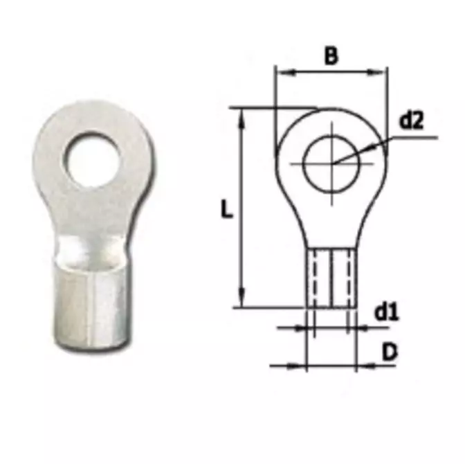 หางปลากลมเปลือย R-Type TLUG -1